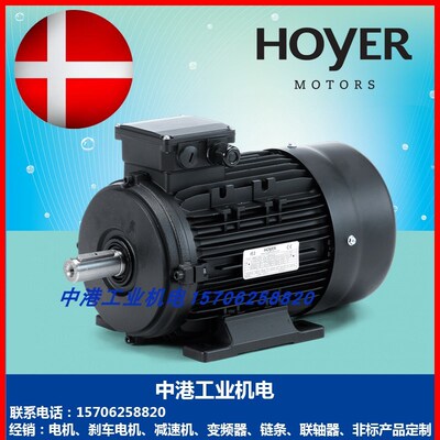 HOYER霍尔电机0.09 0.18 0.25 0.37 0.75 1.5 2.2 3 4 5.5 7.5KW
