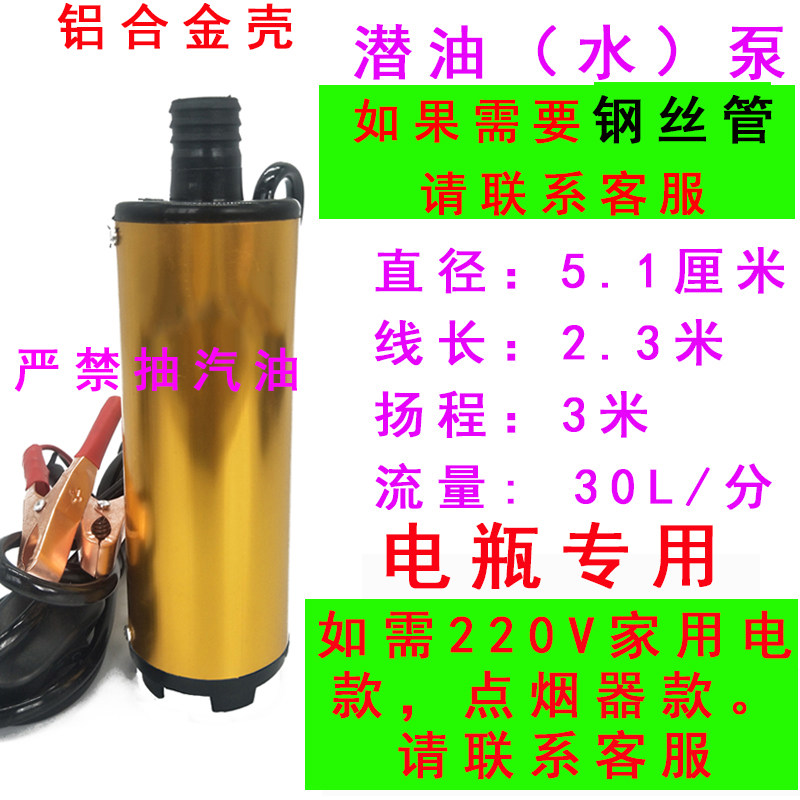抽油泵柴油12V伏抽水泵24V电动微小型潜水自吸泵直流加油机抽油器