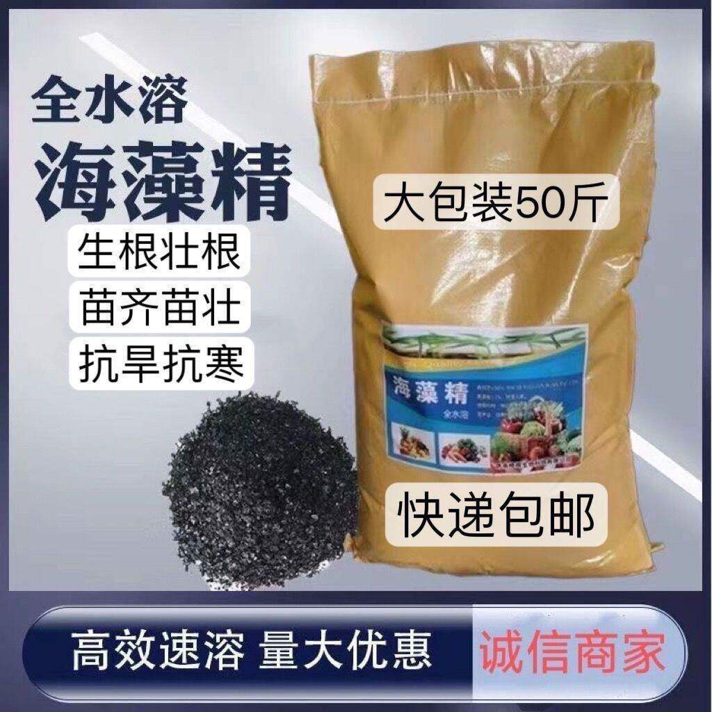 优级浓缩海藻精酶解天然