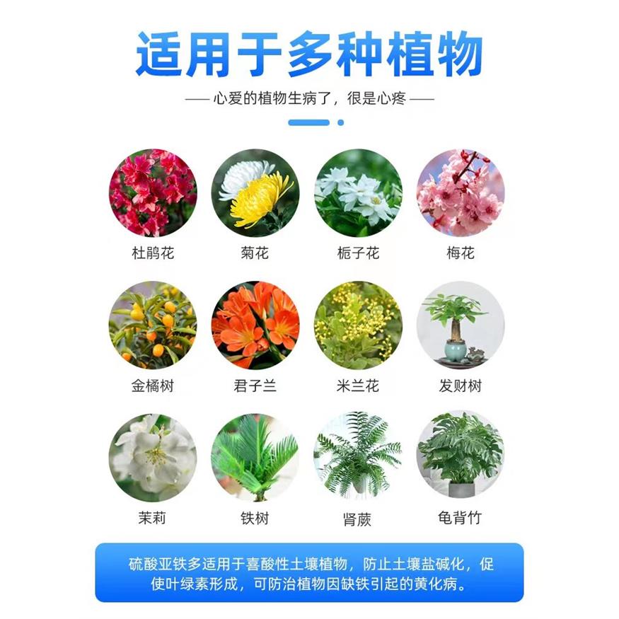 硫酸亚铁花用铁肥粉末粉