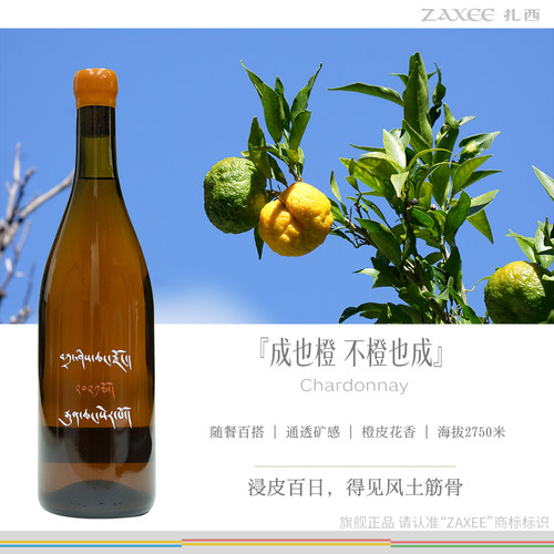 扎西酒庄 陶罐橙酒2023 橙皮西柚花香 通透矿感 国货之光