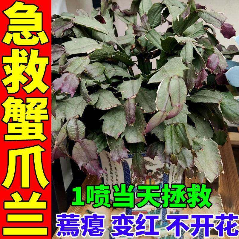 喜酸性植物营养液蟹爪兰专用营养液【免稀释养花专用通用生根药水