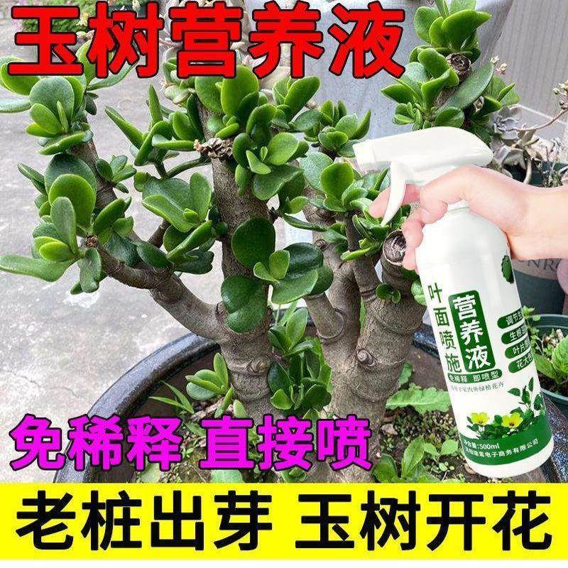 玉树营养液防黄叶催发芽促开花免稀释家用盆栽花卉通用液体花肥料