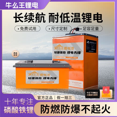 牛么王电动车电三轮锂电池