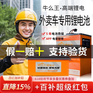 牛么王 适用于九号热门车型锂电池无损直上磷酸铁锂大单体电芯
