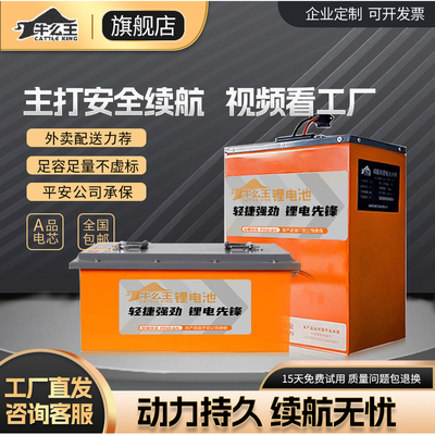 牛么王锂电池亿纬系列60V锂电池大容量72V电动车锂电池外卖锂电池