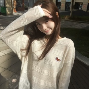 腊肠狗刺绣镂空长袖 设计感可爱上衣 t恤女春秋宽松慵懒风防晒罩衫