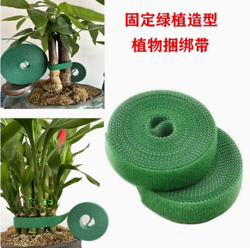 绿植园艺自粘魔术贴扎带绑花器