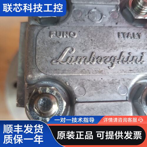 兰博基尼Lamborghini齿轮油泵，意大利原装进口，型号