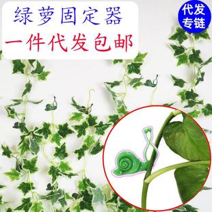 挂钩墙上藤蔓无痕攀爬 绿萝固定器植物蜗牛爬墙神器免钉贴墙自粘式