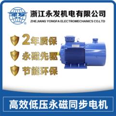 永发永磁电机YFYT-180M1-3000转2极22KW高效低压永磁同步电机