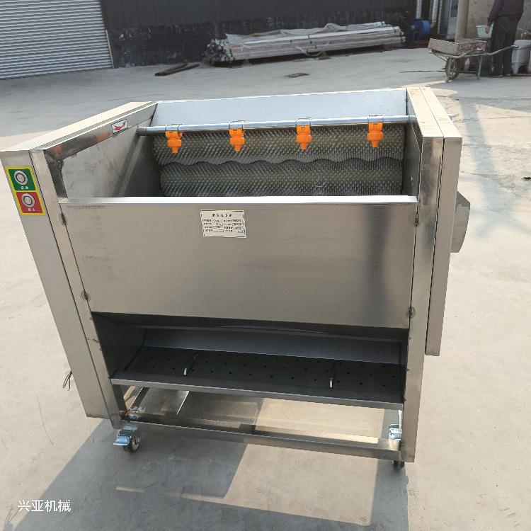 商用胡萝卜土豆清洗去皮红薯莲藕脱皮机毛刷洗菜机