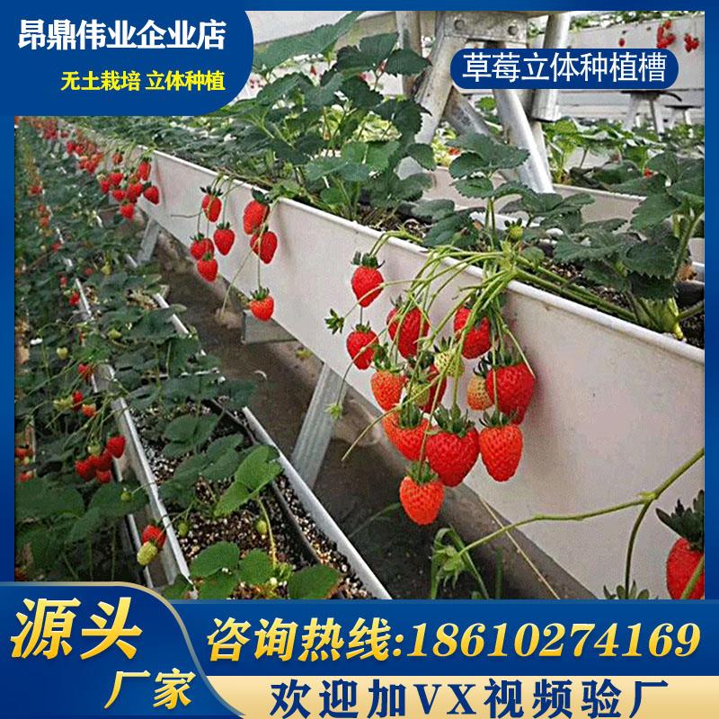 空中草莓蔬菜无土栽培系统智慧农业大棚立体种植槽阳台种植架多层