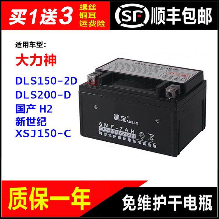 摩托车干电瓶大力神DLS150-2D DLS200-D 新世纪XSJ150-C H2蓄电池