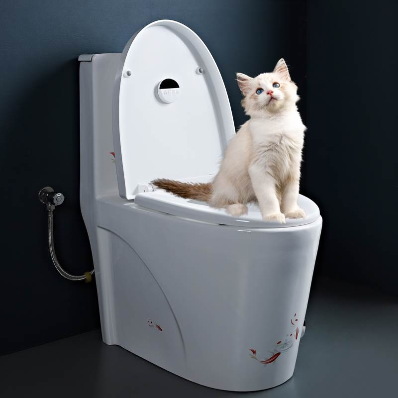 马桶宠物专用自动感应冲水器无线冲水感应器(延迟3分钟后冲水)