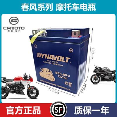 猛狮春风摩托车原装电瓶250sr/ST狒狒/250nk/nk150/125/国宾/650