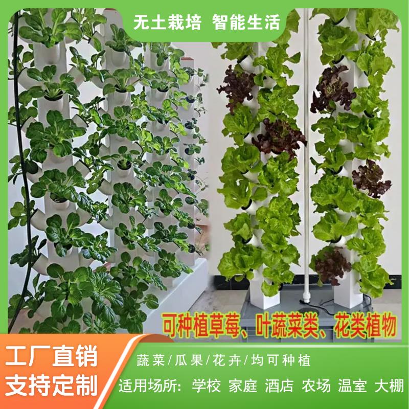 立柱无土栽培阳台种菜设备水雾家庭有机蔬菜种植机自动水培架水耕