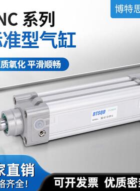 DNC/SE标准气缸32-40-50-63-80-100-125X150X175X200X250-PPV-A-S
