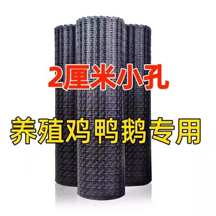 塑料围栏网养殖鸡鸭防护网格果园拦网隔离围网栅栏小孔2厘米网孔