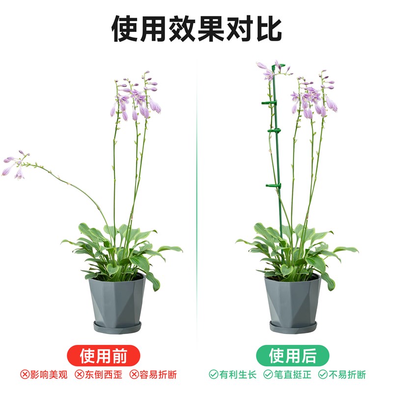 园艺防倒伏支架植物支撑单杆阳台室外月季绣球朱顶红爬藤花支架子