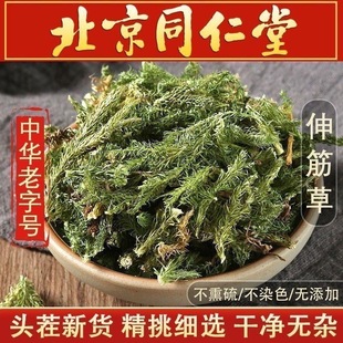 野生伸筋草中药材500g正品新鲜伸筋草透骨草中药泡脚远志舒筋草
