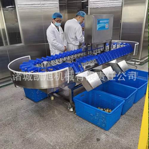 白条鹅全自动称重分级分拣机 脱脂鹅鹅蛋重量分选机 凯旭供应