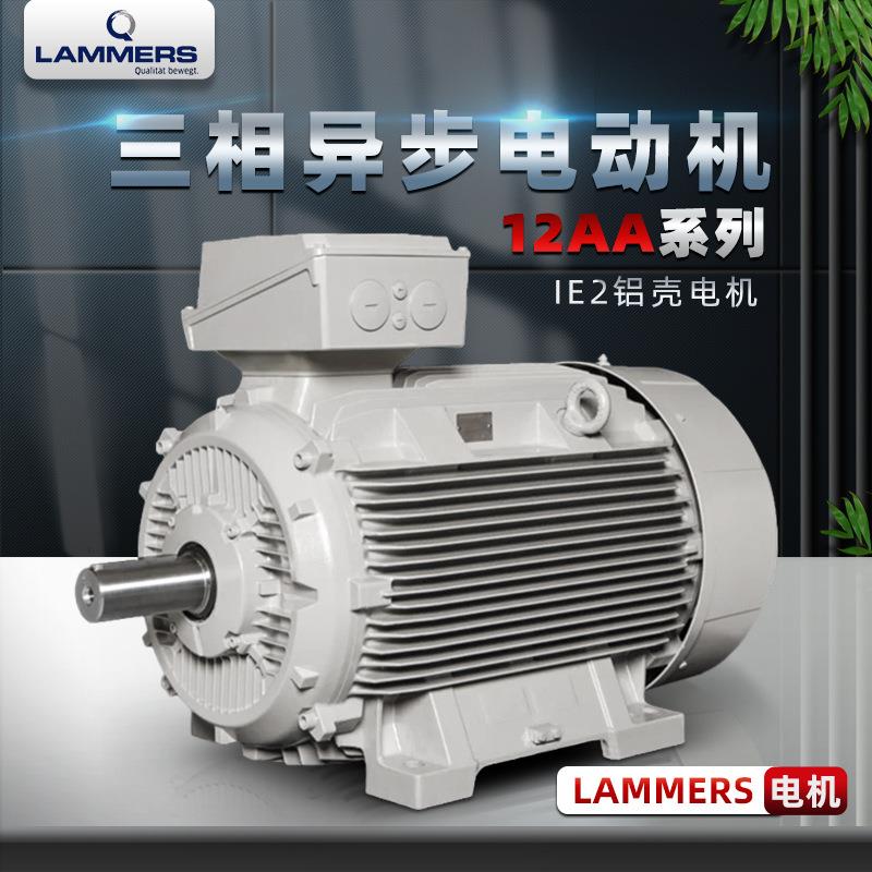 MEZ同款德國LAMMERS電機(jī)7AA 12AA 13AA 14BG 1TZ9系列鋁殼電動機(jī)