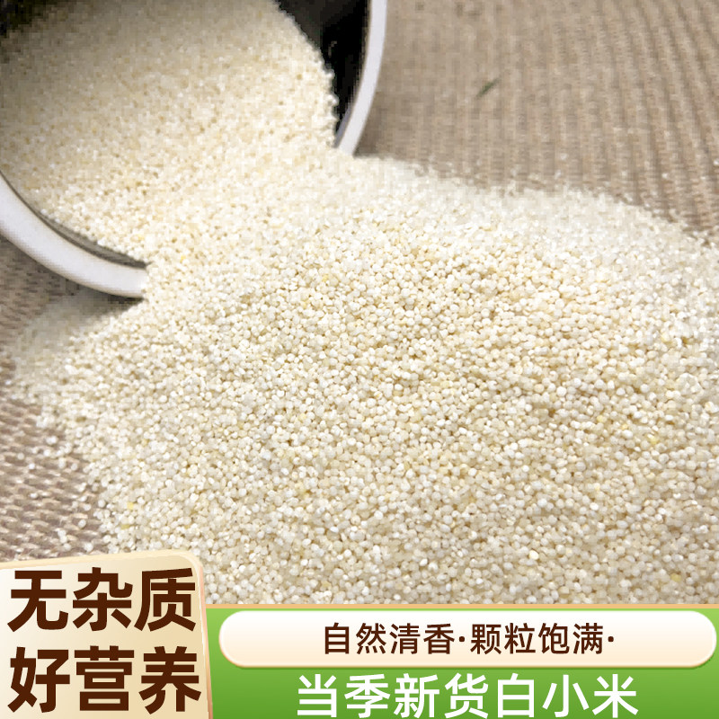 新货东北白小米香糯杂粮米煮米粥