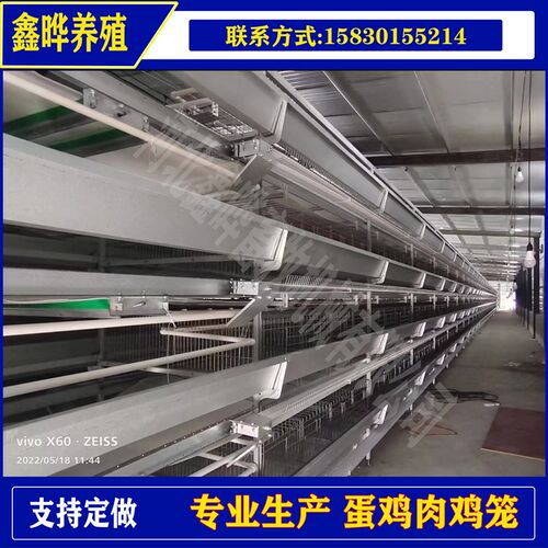 养殖框架笼蛋鸡笼鸡舍大棚肉鸡笼H笼生产安装售后一体式养鸡笼具