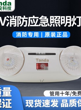 泰和安壁挂式集中电源应急灯E3W-6602A/E5W-6601B应急双头灯(36V)