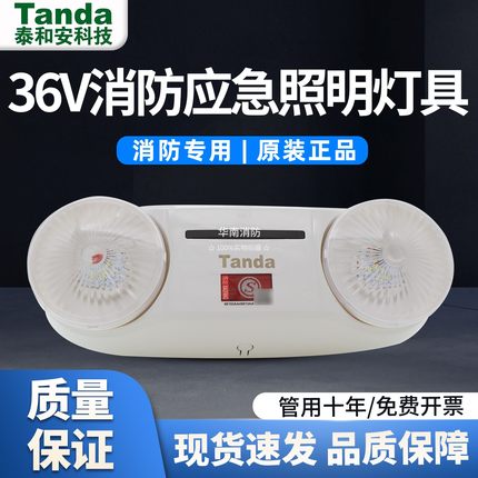 泰和安壁挂式集中电源应急灯E3W-6602A/E5W-6601B应急双头灯(36V)