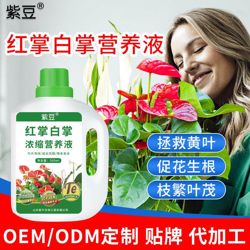 紫豆红掌白掌专用浓缩型营养液叶面水溶有机肥花肥料开花促花厂家