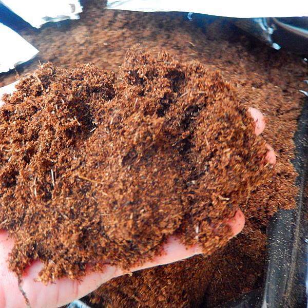 散装编织袋椰糠土80升,农用物资,育苗/栽培基质,淘宝优惠券,粉丝福利购,淘宝优惠卷