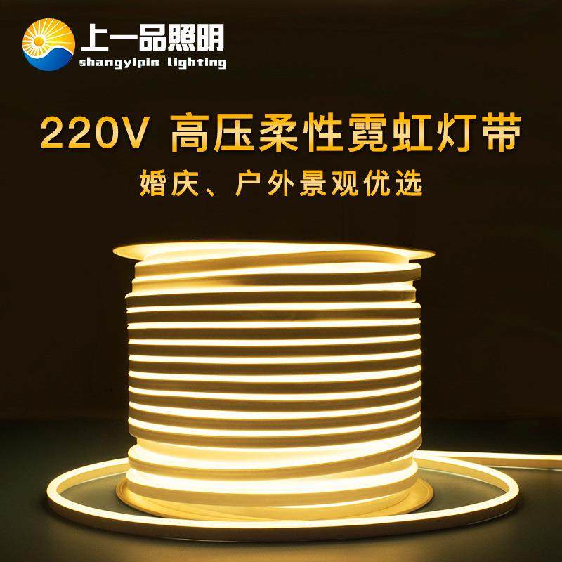 LED柔性霓虹灯带低压12V高压220V广告招牌造型装饰灯软灯条