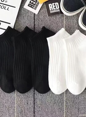 网红款春夏短袜浅口低帮男女同款薄款透气竖纹情侣袜纯色百搭短筒