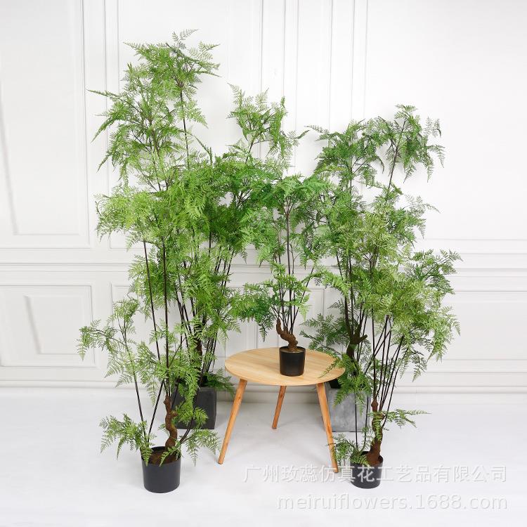 玫蕊蕨草树蕨草家居装饰 仿真绿植盆栽北欧植物 植物塑料盆景绿植