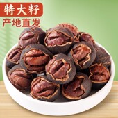 25年新货临安特产野生山核桃特大籽好好剥小核桃袋装 孕妇坚果零食