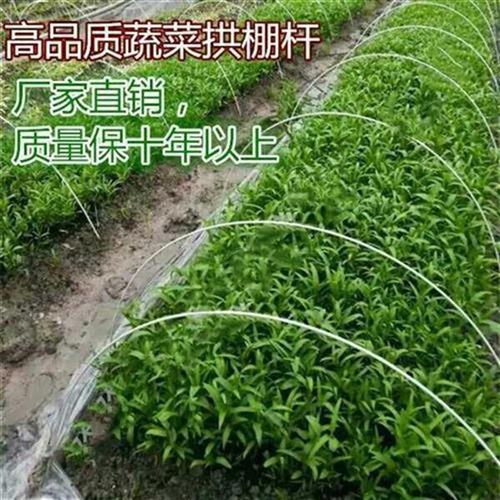 蔬菜保温bd大棚内拱棚竿葡萄避雨棚杆支架户外搭Q棚塑料2020