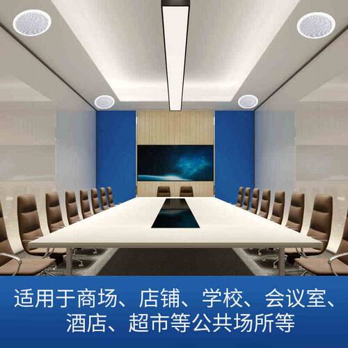 同轴吸顶喇叭天花吊顶音箱店铺商场扬声器家庭音响背景音乐喇叭