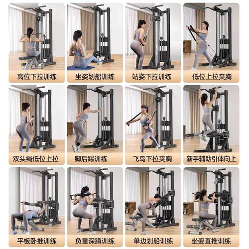 朗益_高位下拉龙门架家用健身器材多功能一体小型飞鸟综合训练器