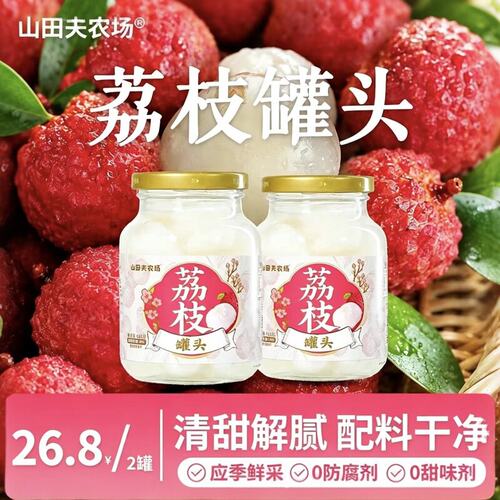 荔枝罐头418g*2罐应季水果罐头去核饱满0防腐剂新鲜解馋追剧零食