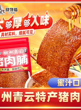 柳州青云特产晓馋猫300g炭烤厚切猪肉脯肉香新鲜追剧小吃现烤即食