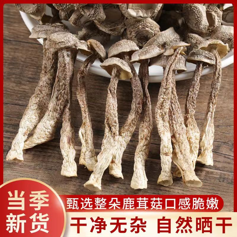 干货鹿茸菇优质干货鲜香脆嫩无干燥剂【250g2 袋】QQ