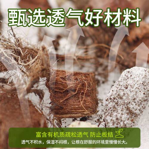 龟背竹专用土天南科星植物土绿植盆栽园艺土蔓绿绒海芋热植营养土