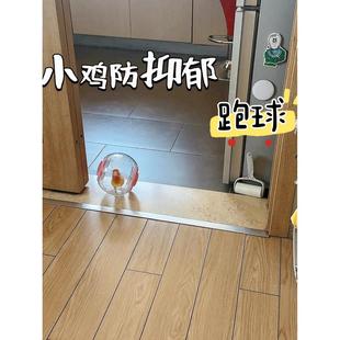鹦鹉玩具创意小鸟防抑郁跑球小鸡自嗨解闷运动滚球外带仓鼠跑步机