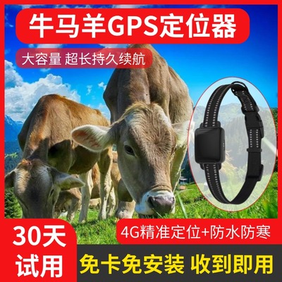定位器牛羊追踪神器小尺寸山区放牧专用防丢追跟定仪器
