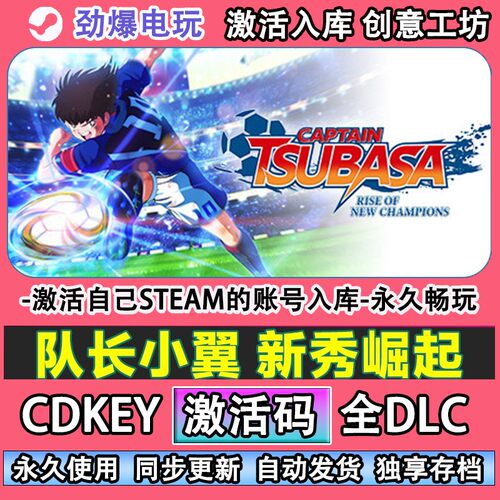 队长小翼新秀崛起steam