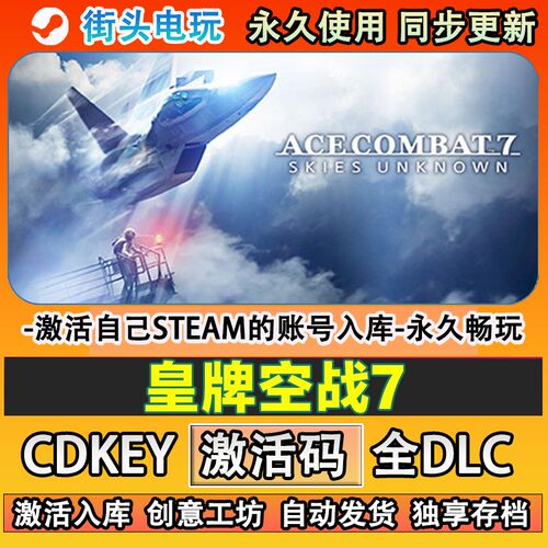 皇牌空战7steam游戏ACEO