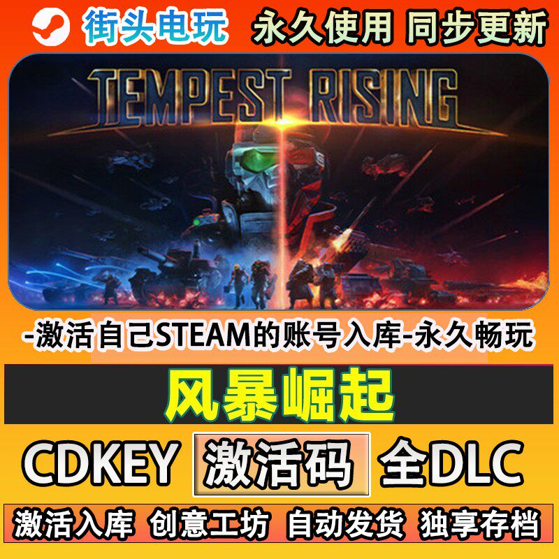 风暴崛起steam游戏激活