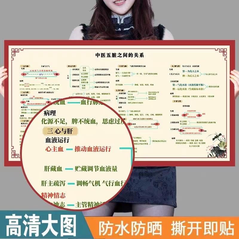 中医五脏六腑关系图内脏升降转换图PP油画布墙贴画